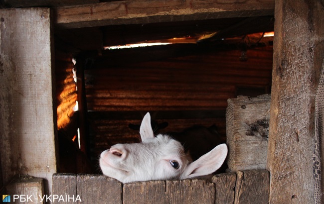 Взорванные годы: как война изменила жизнь детей на Донбассе
